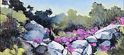 Vygies - Postberg Nature Reserve | 2012 | Oil on Canvas | 40 x 56 cm